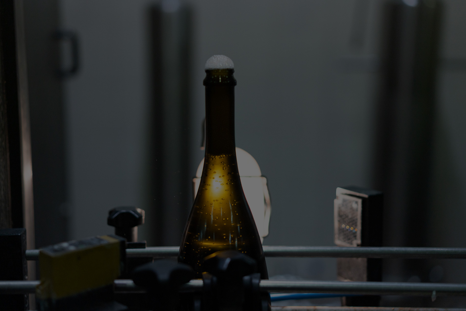 Bottling of a Rigoni Vittorino wine at the winery